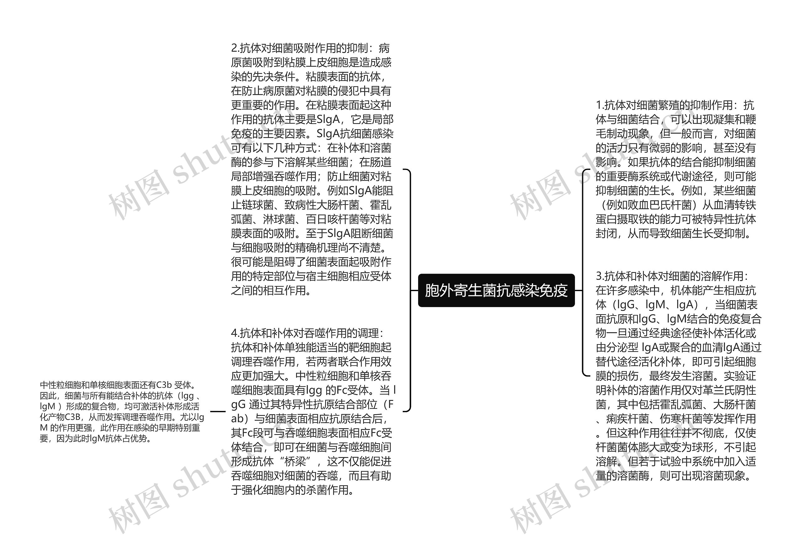 胞外寄生菌抗感染免疫思维导图