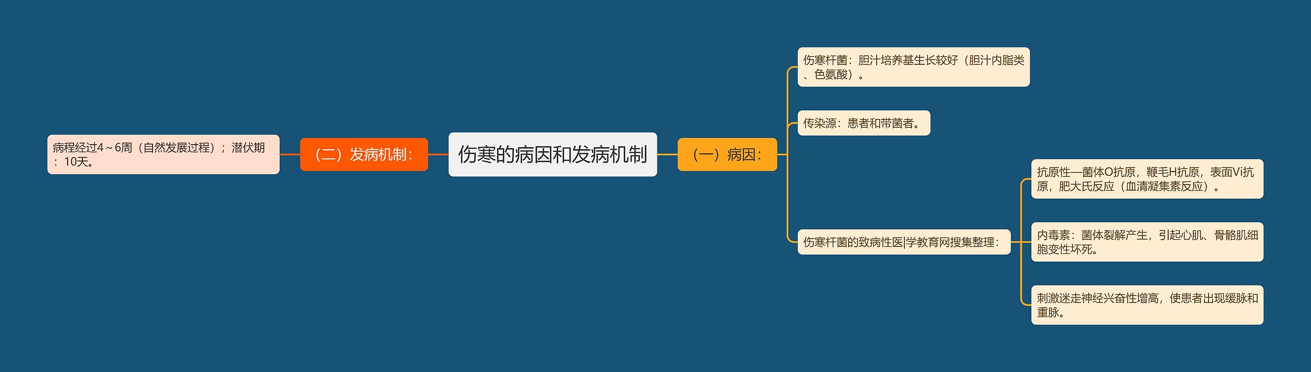 伤寒的病因和发病机制思维导图