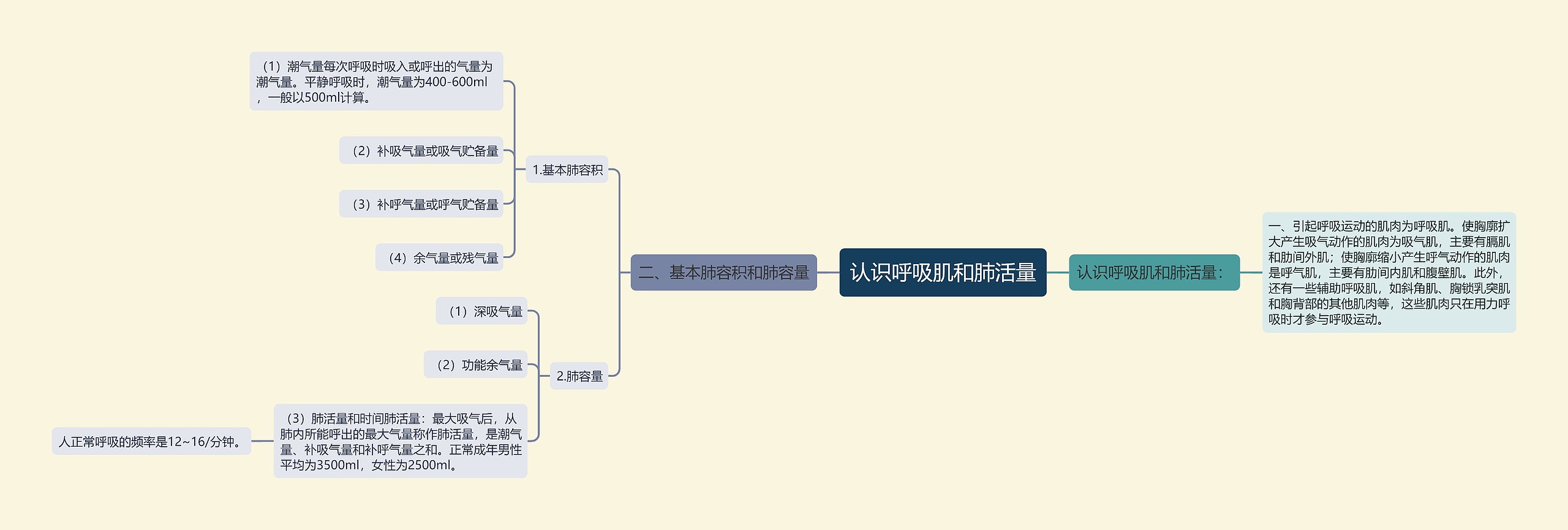 认识呼吸肌和肺活量思维导图