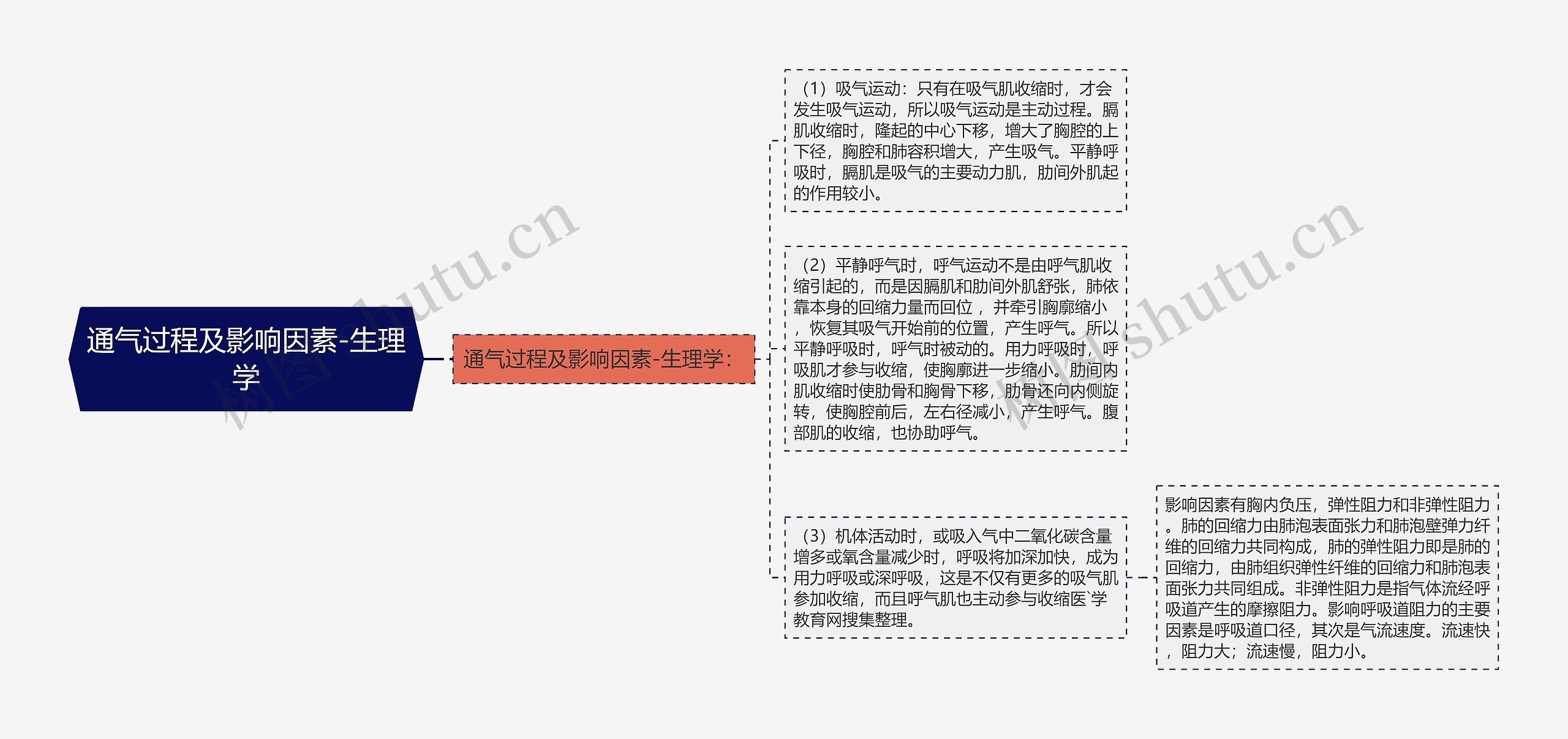 通气过程及影响因素-生理学