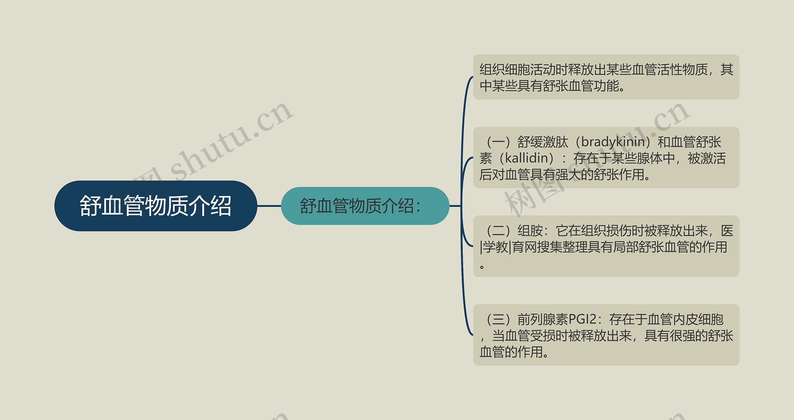 舒血管物质介绍思维导图