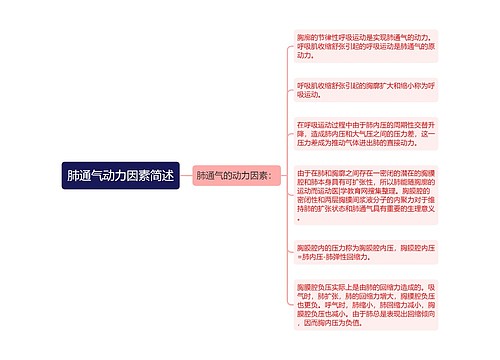 肺通气动力因素简述