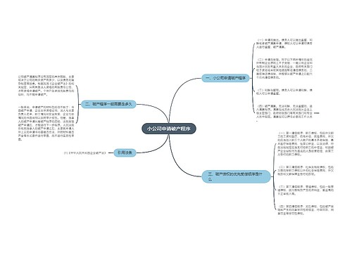 小公司申请破产程序