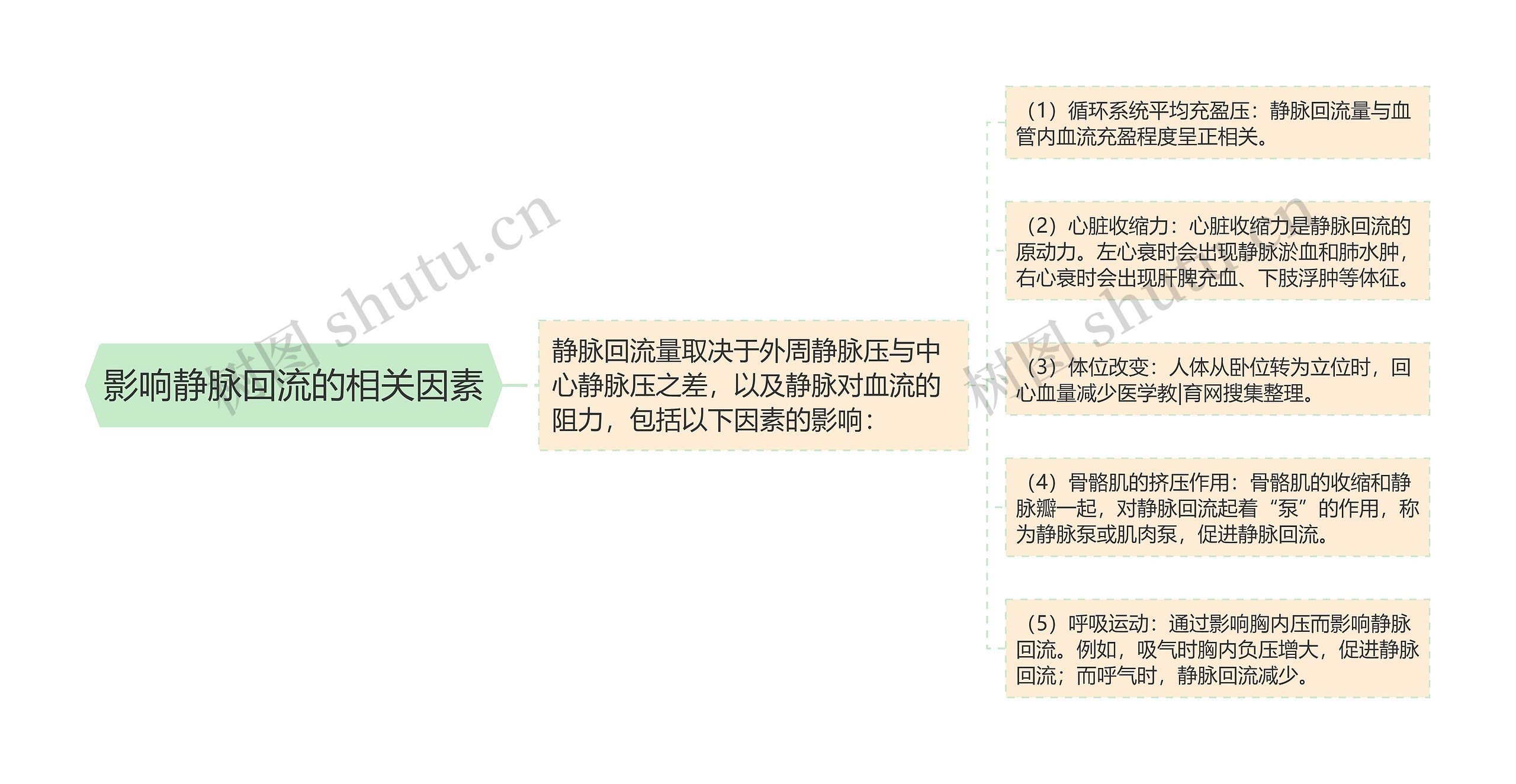 影响静脉回流的相关因素 影响静脉回流的相关因素