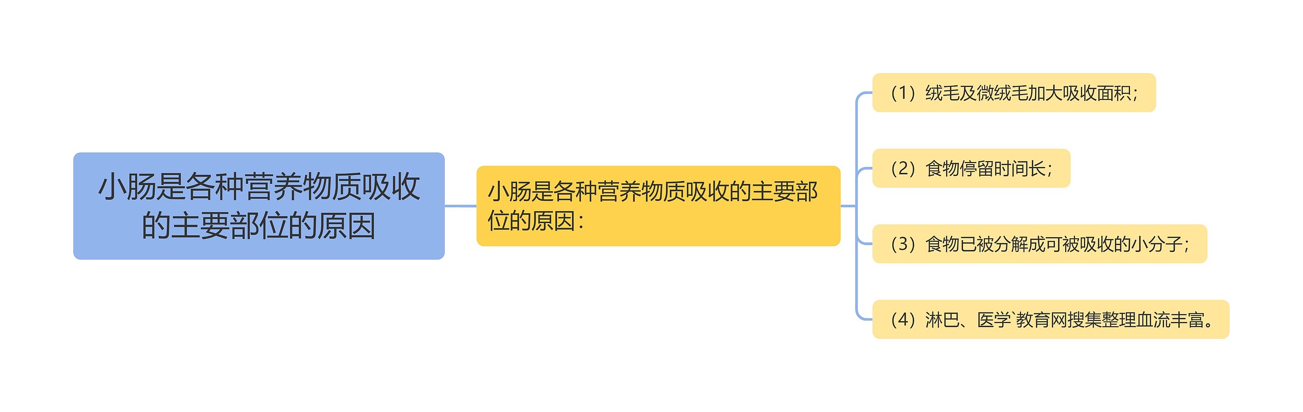 小肠是各种营养物质吸收的主要部位的原因思维导图