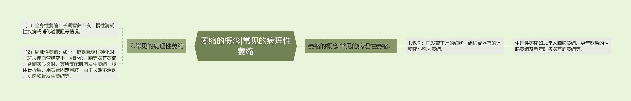 萎缩的概念|常见的病理性萎缩思维导图