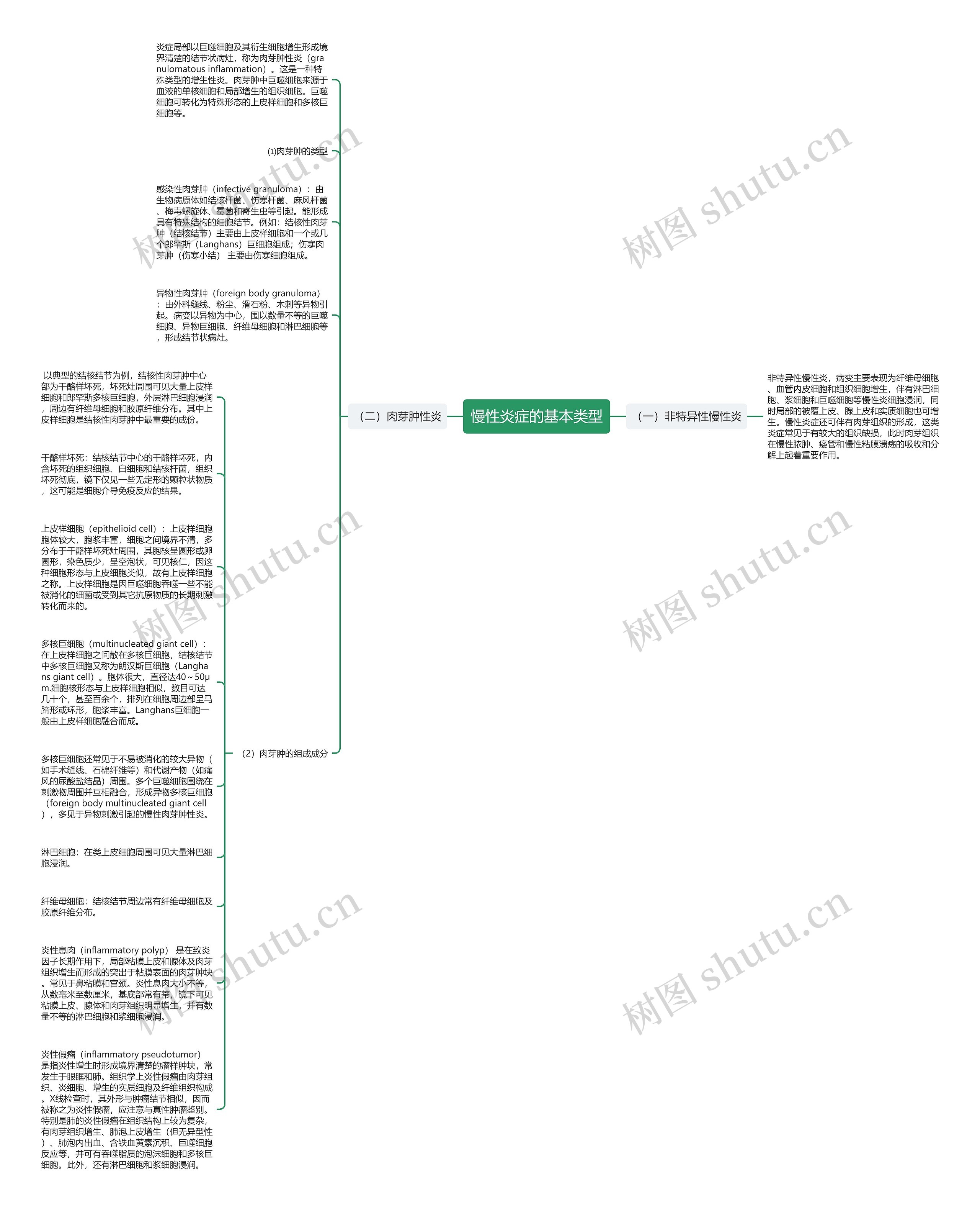 慢性炎症的基本类型思维导图