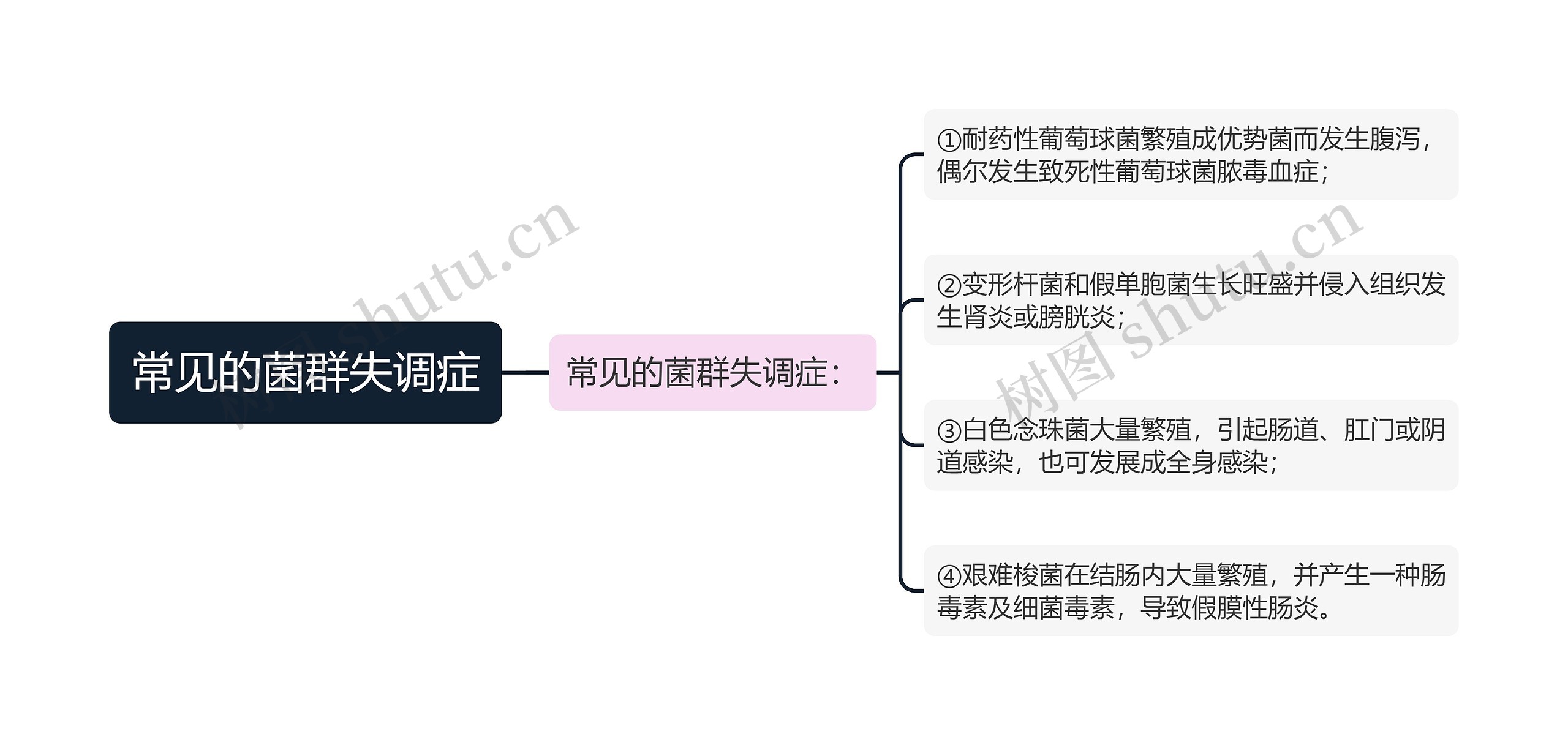 常见的菌群失调症思维导图