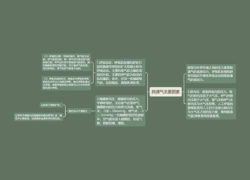 肺通气主要因素