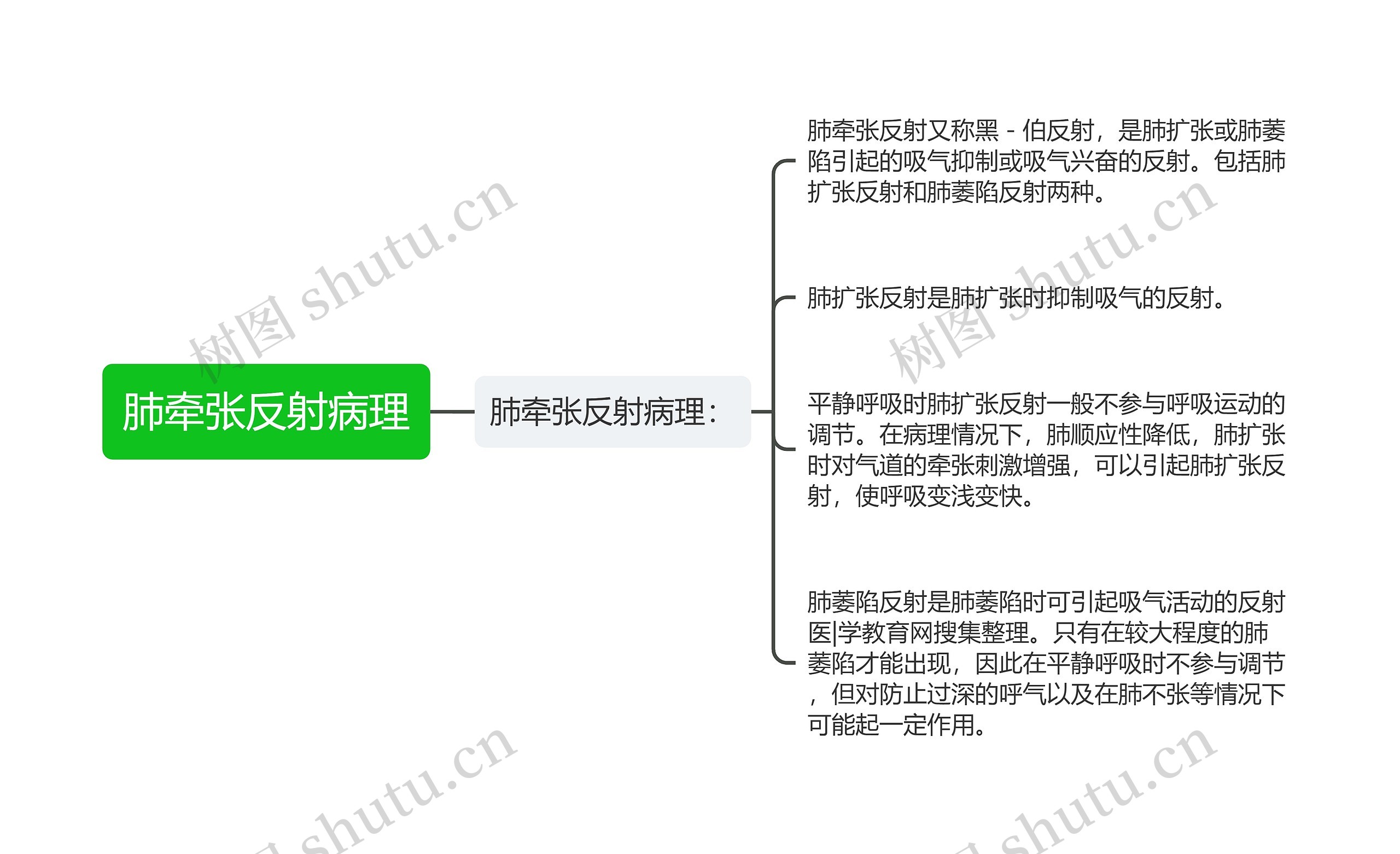 肺牵张反射病理思维导图