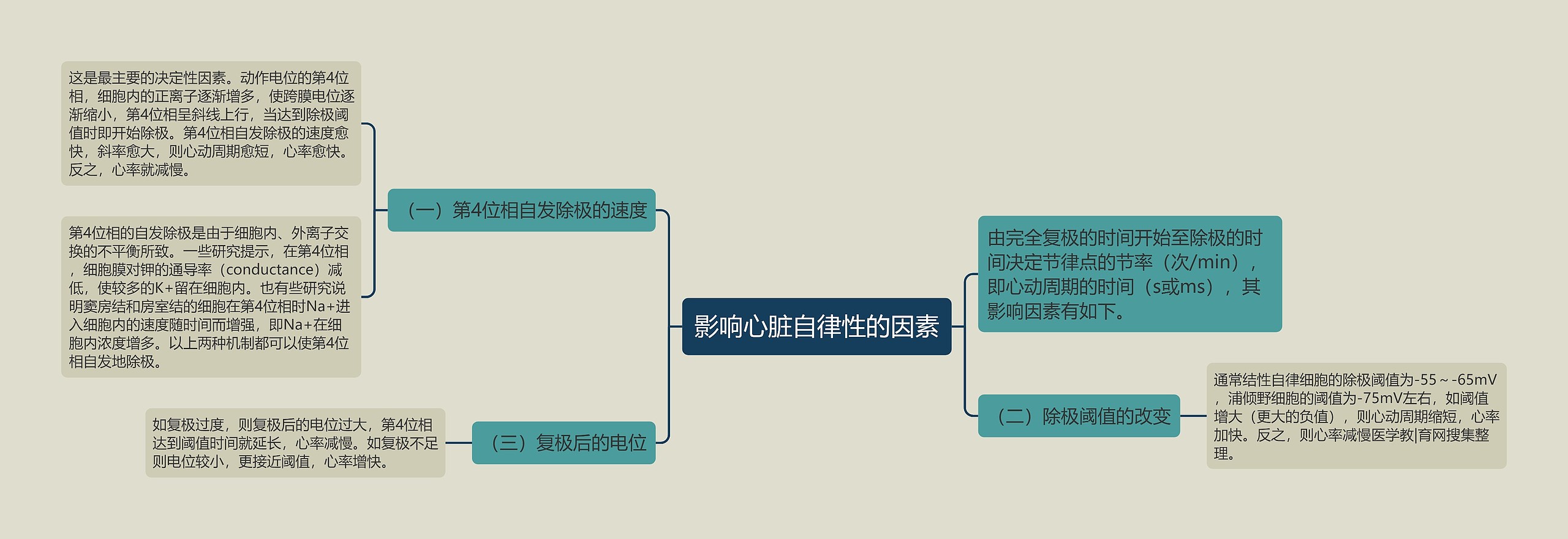 影响心脏自律性的因素思维导图