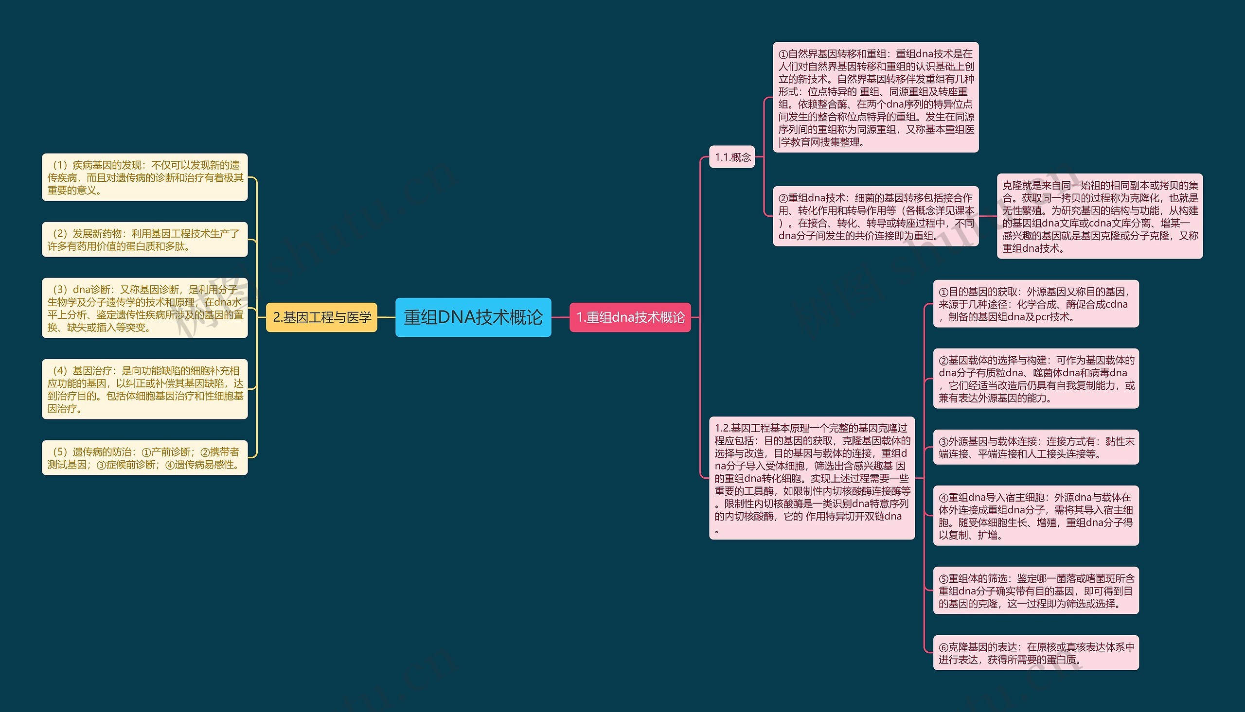 重组DNA技术概论 重组DNA技术概论