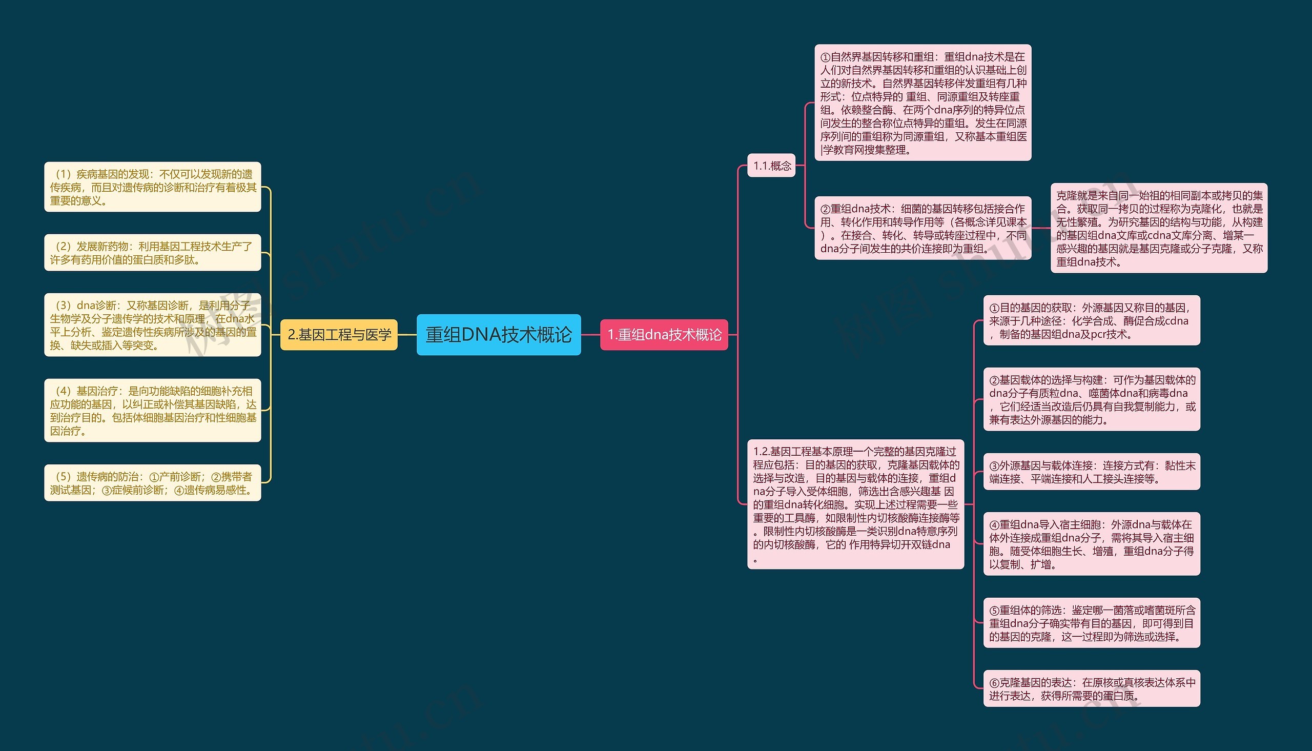 重组DNA技术概论思维导图