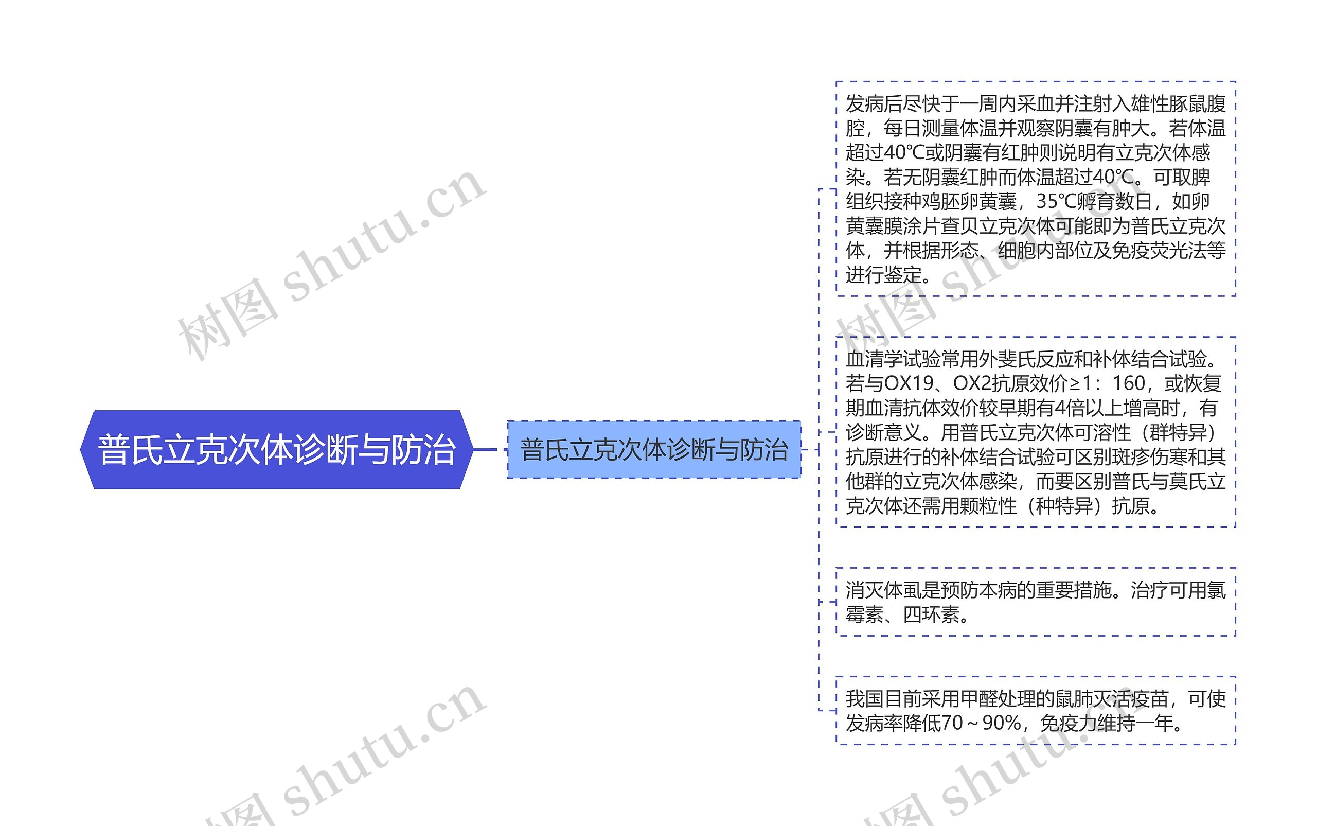 普氏立克次体诊断与防治思维导图