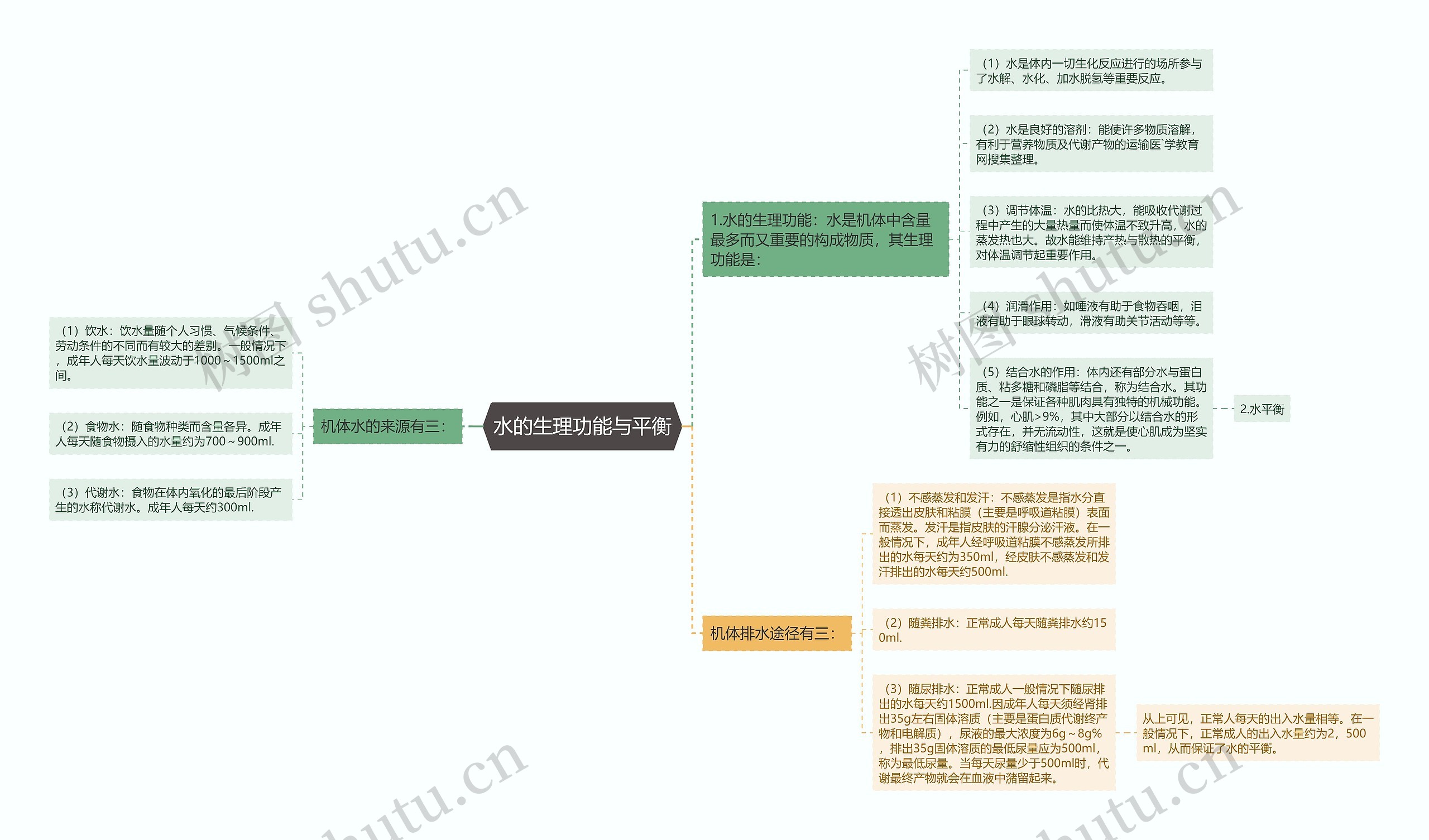 水的生理功能与平衡 水的生理功能与平衡
