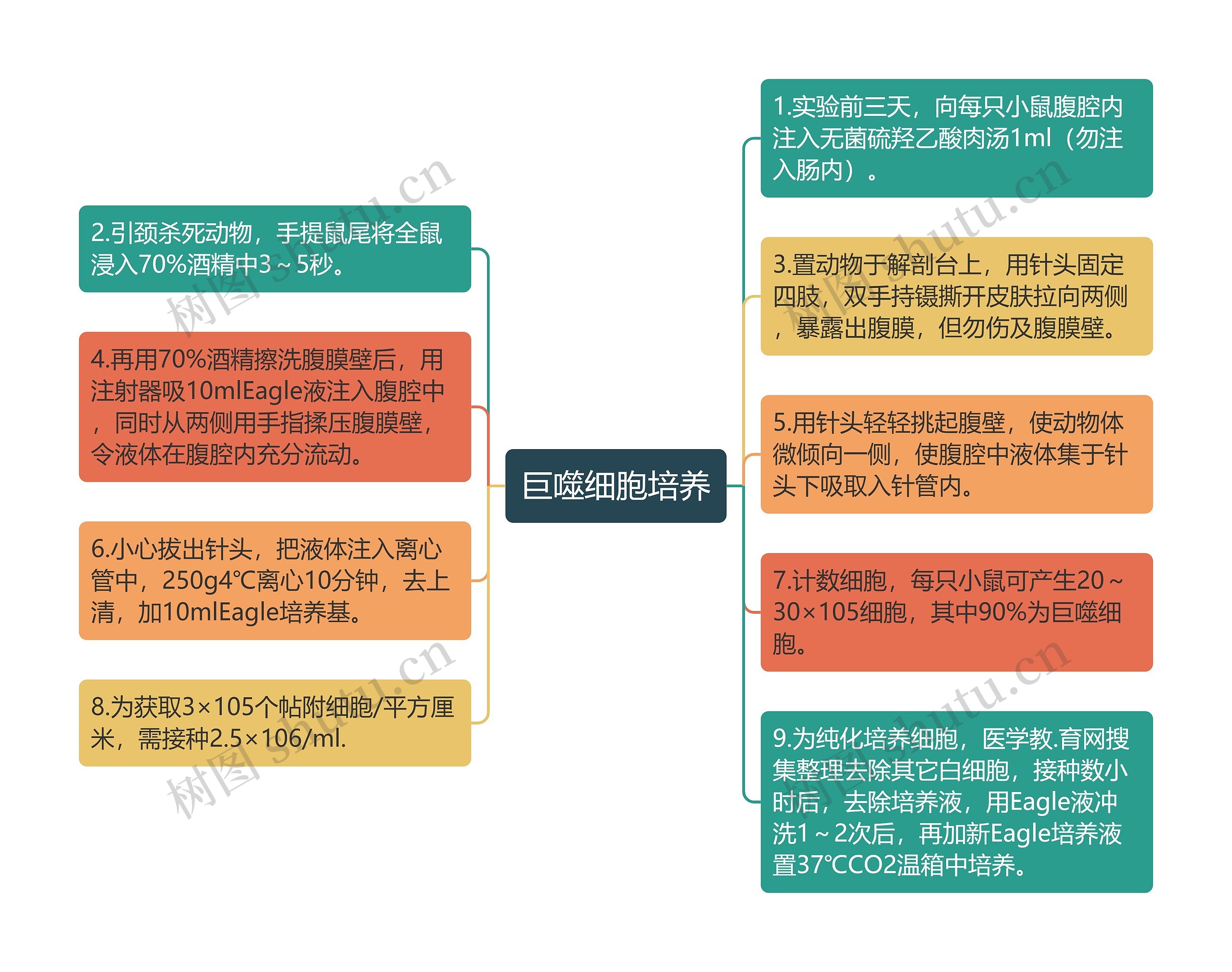 巨噬细胞培养思维导图