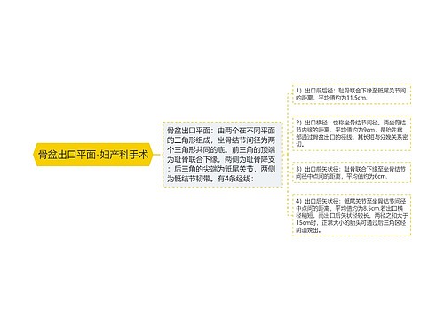 骨盆出口平面-妇产科手术