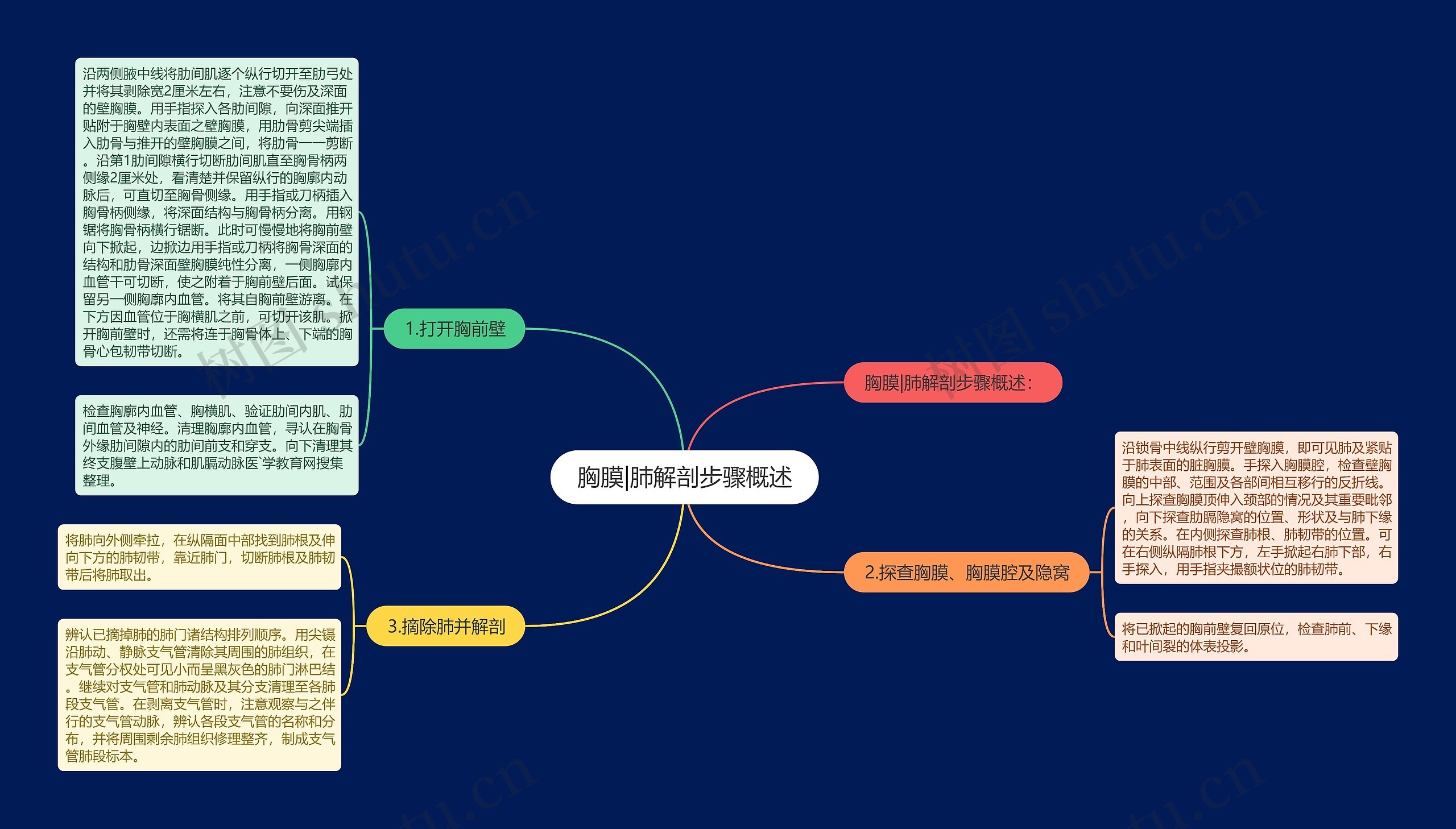 胸膜|肺解剖步骤概述思维导图
