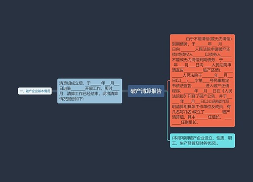 破产清算报告