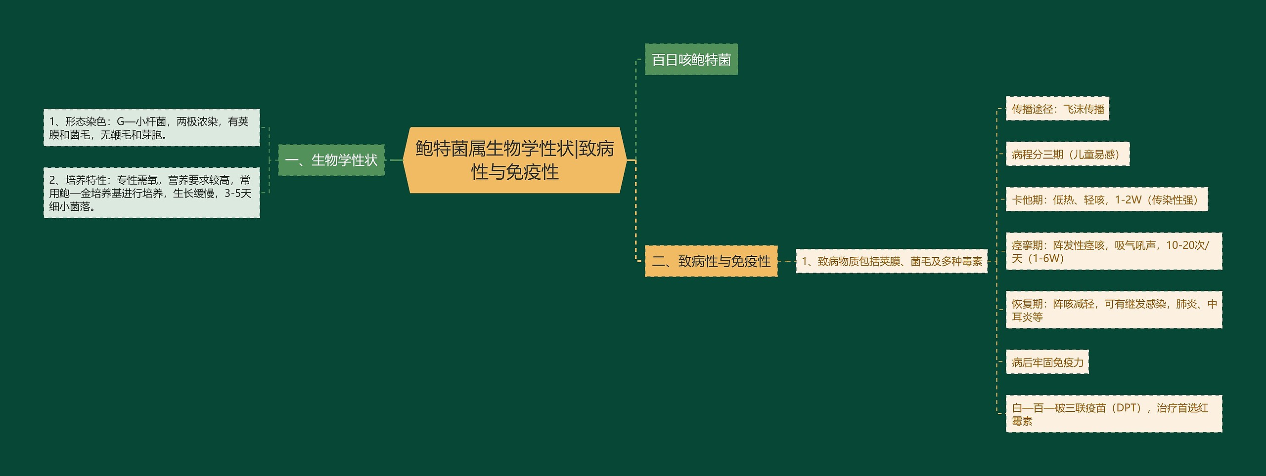 鲍特菌属生物学性状|致病性与免疫性思维导图