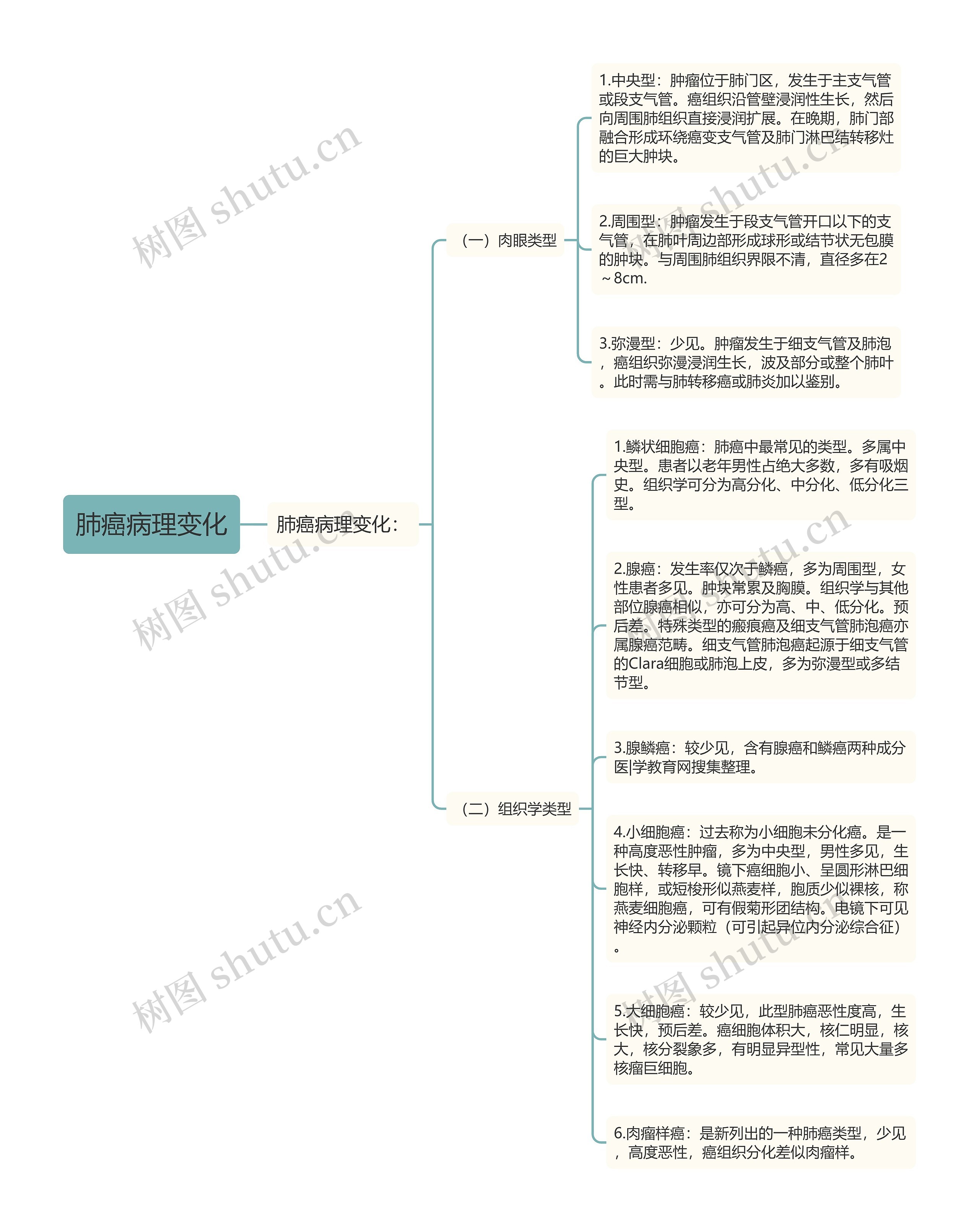 肺癌病理变化 肺癌病理变化