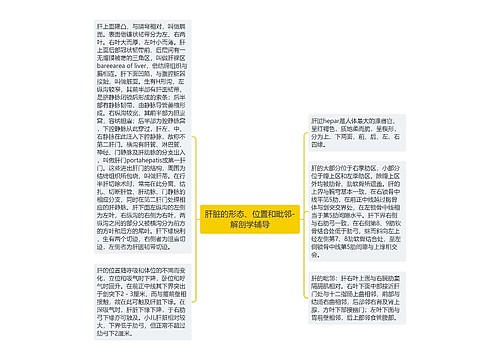 肝脏的形态、位置和毗邻-解剖学辅导