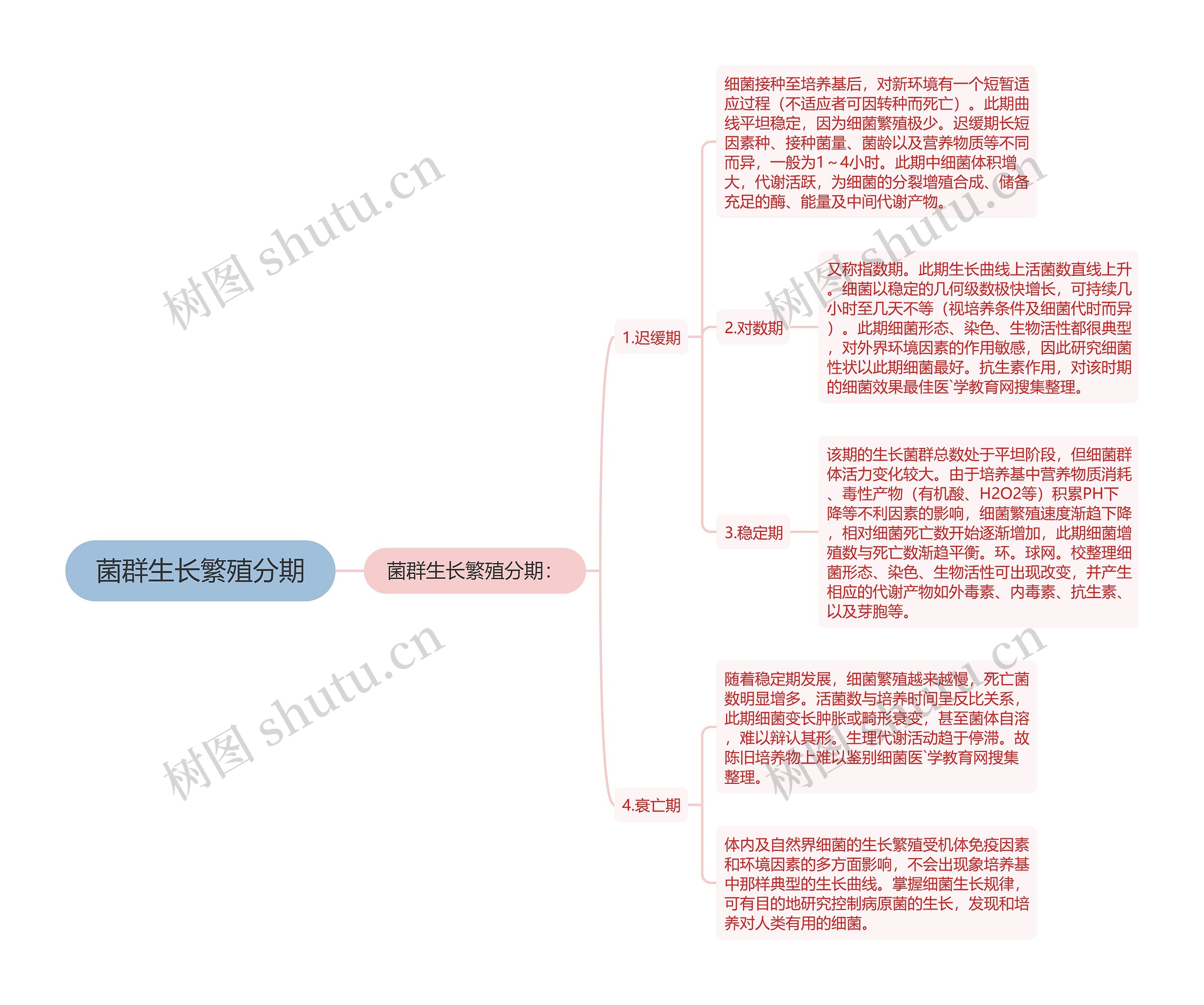 菌群生长繁殖分期