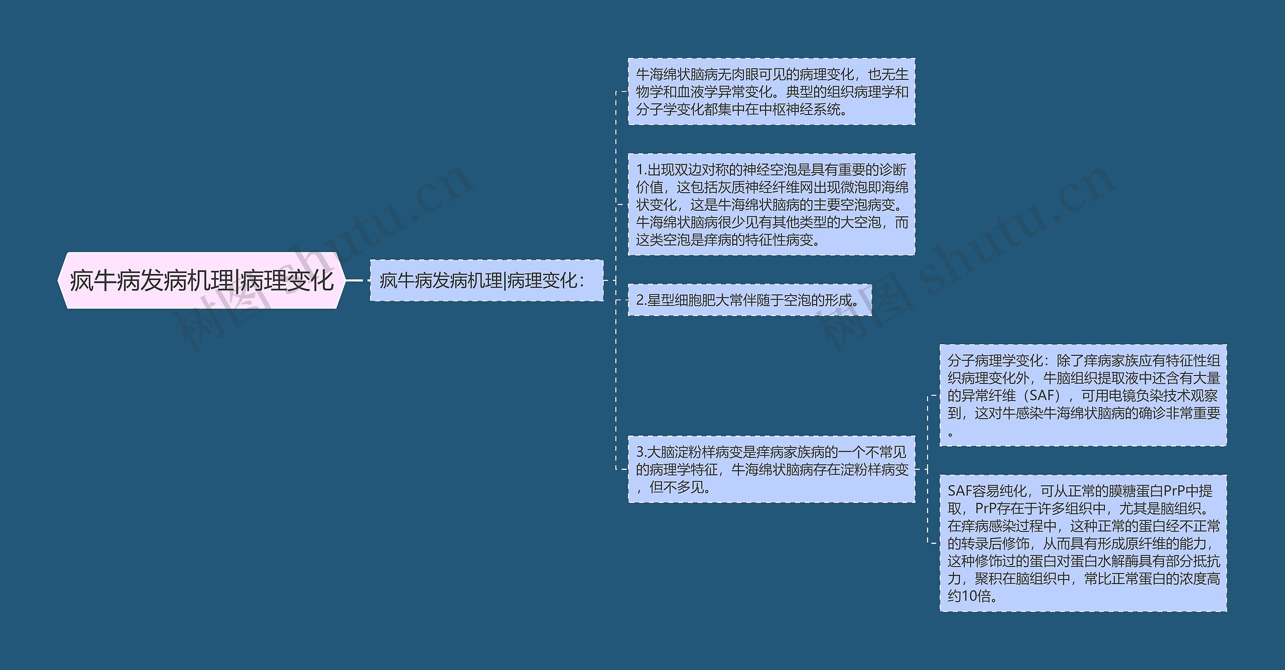 疯牛病发病机理|病理变化