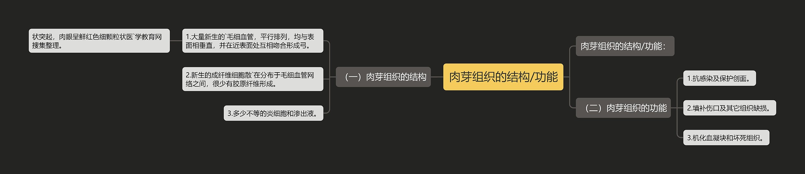 肉芽组织的结构/功能思维导图