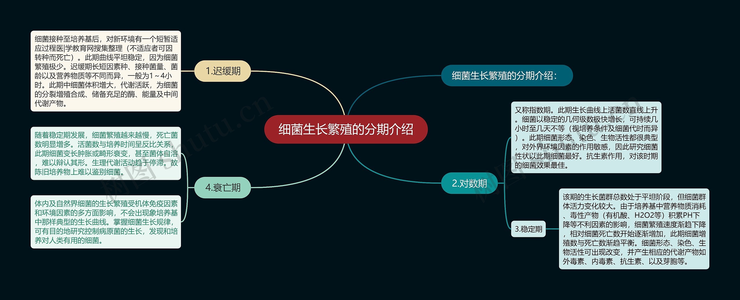 细菌生长繁殖的分期介绍思维导图