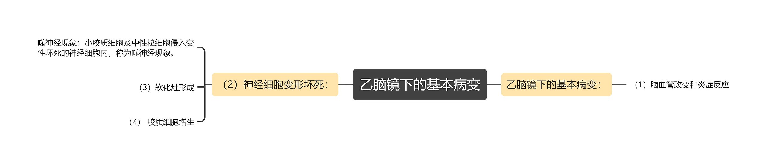 乙脑镜下的基本病变
