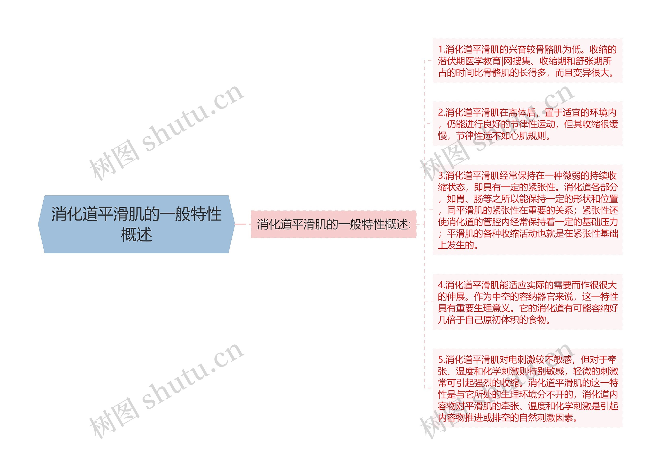 消化道平滑肌的一般特性概述思维导图