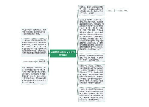 合伙购房起纠纷 父子反目对打官司