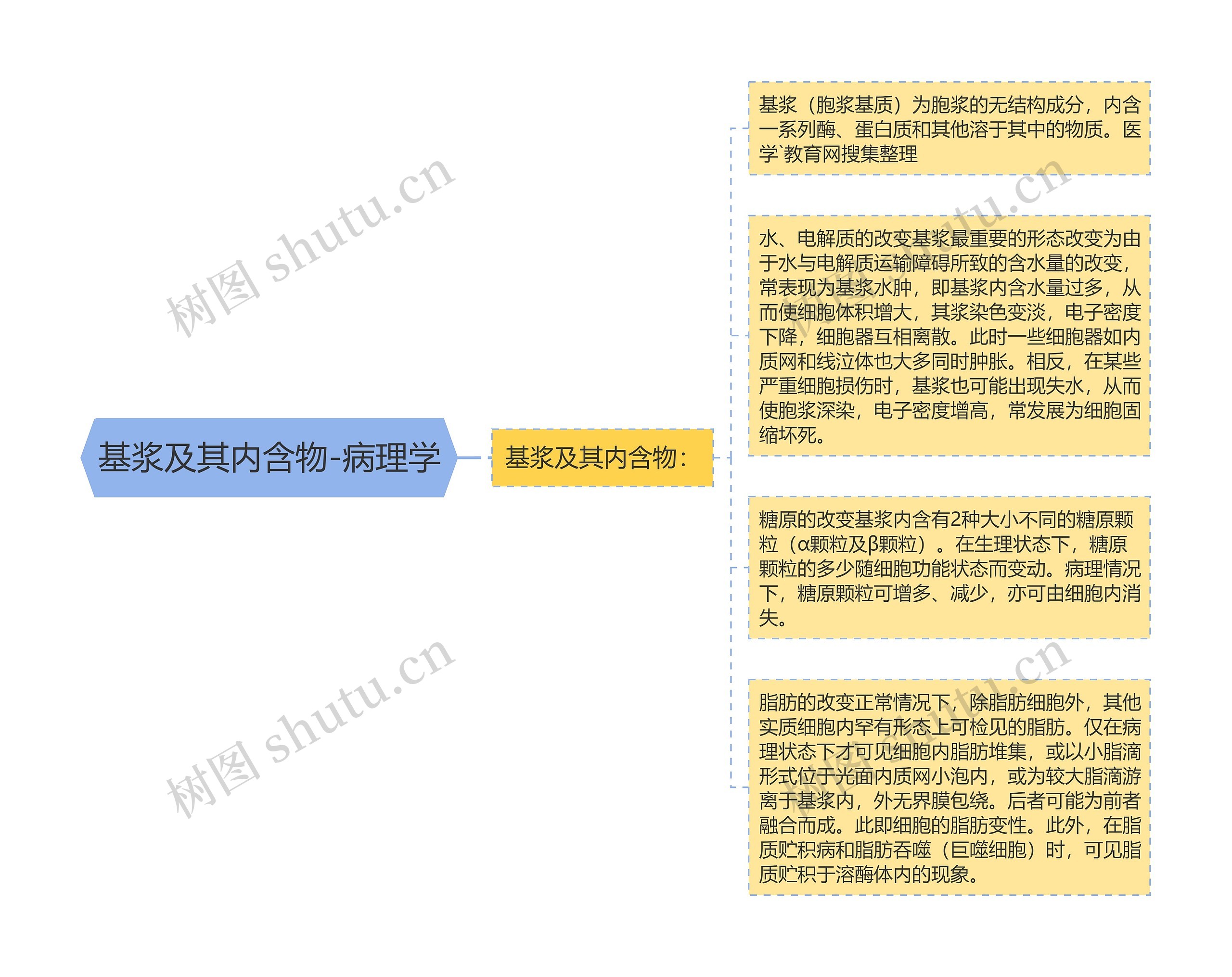 基浆及其内含物-病理学 基浆及其内含物-病理学
