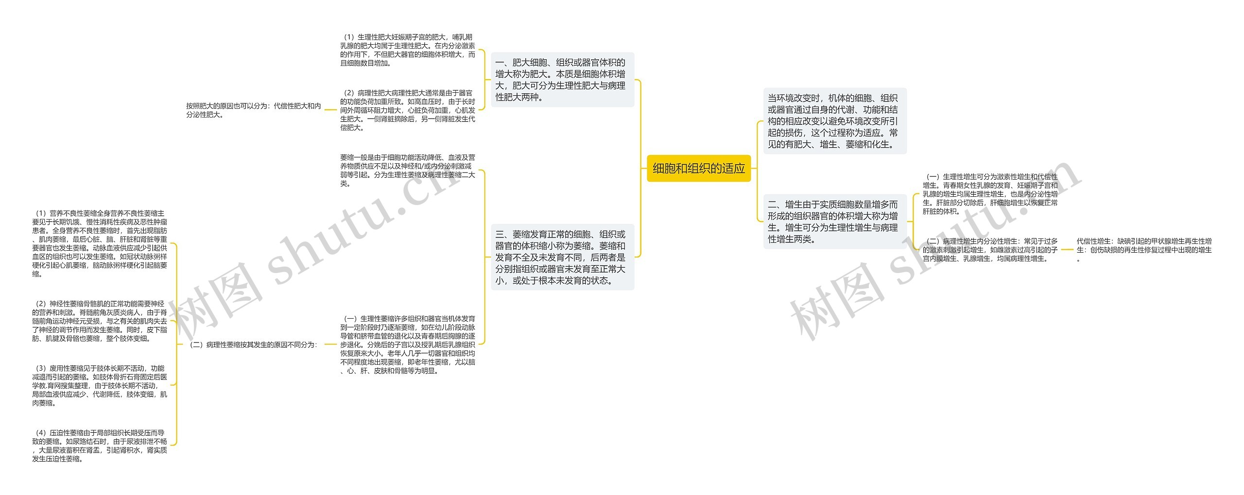 细胞和组织的适应