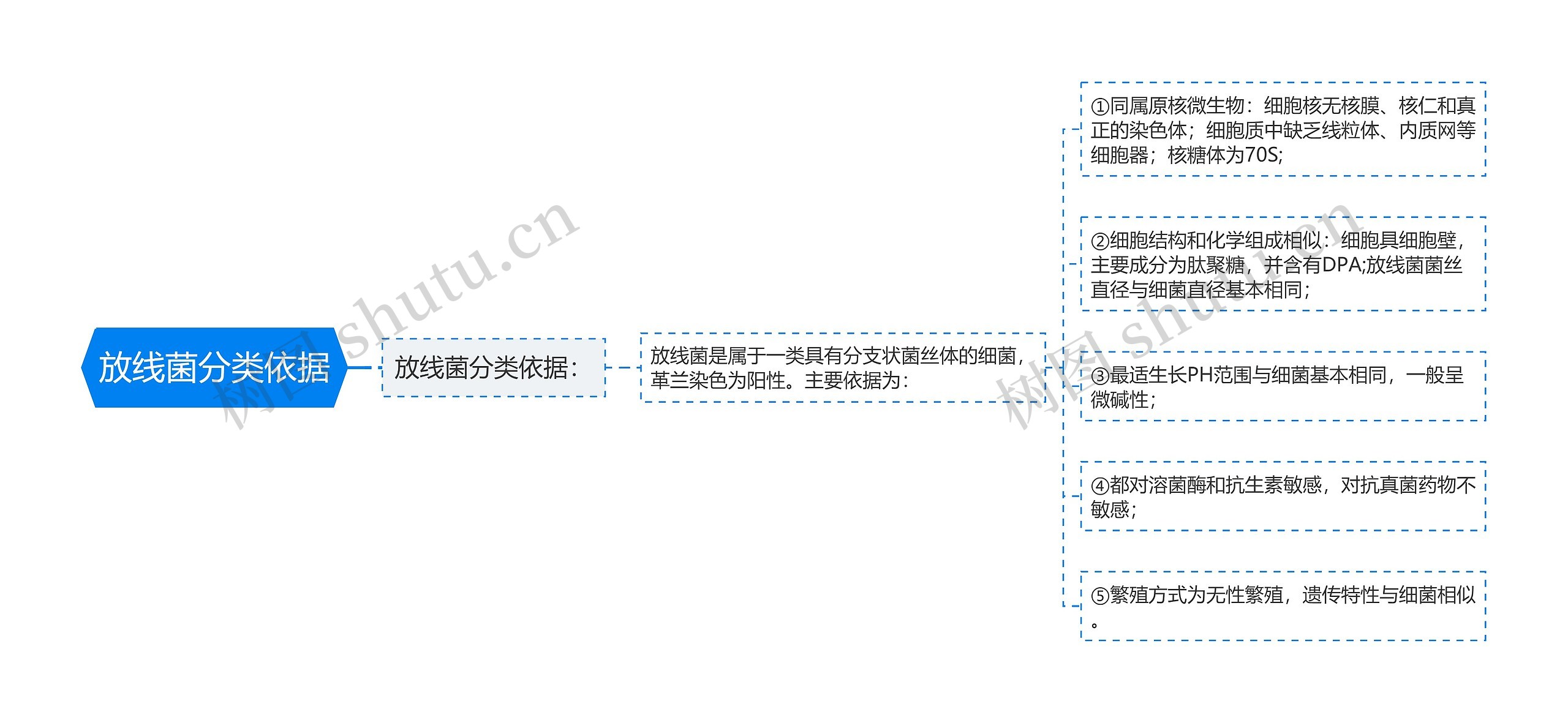 放线菌分类依据思维导图