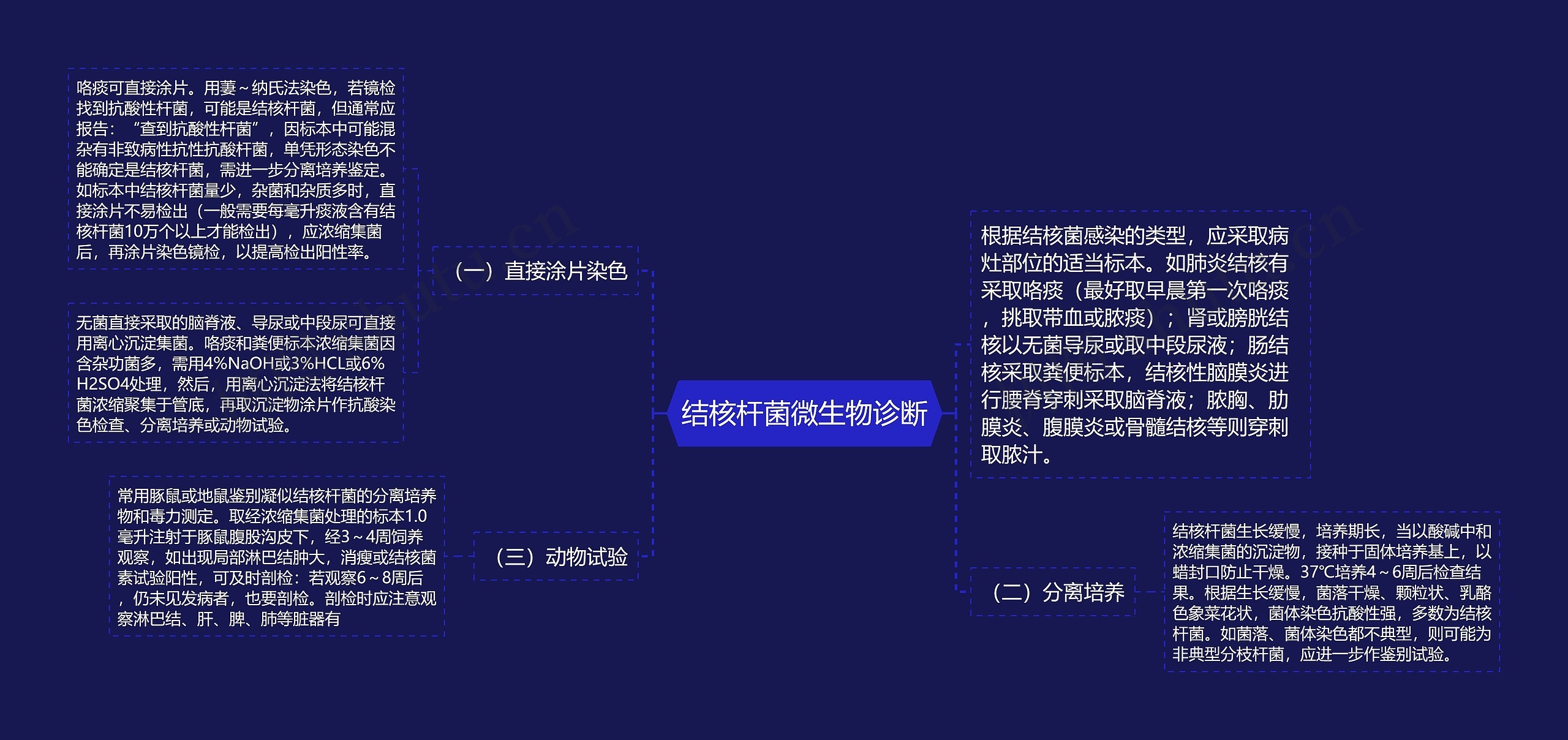 结核杆菌微生物诊断