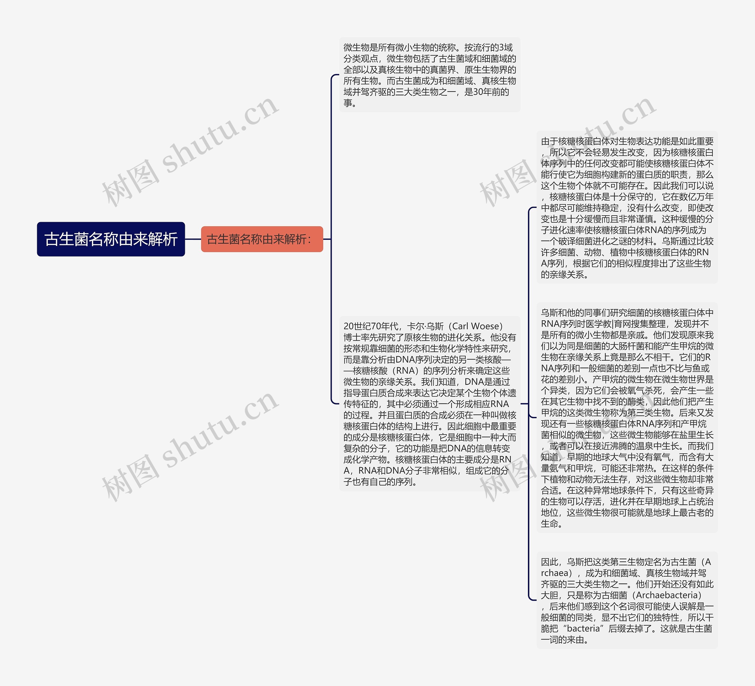 古生菌名称由来解析思维导图