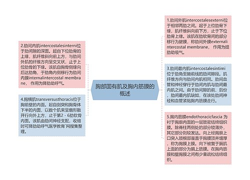 胸部固有肌及胸内筋膜的概述