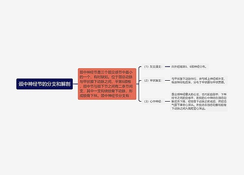 颈中神经节的分支和解剖