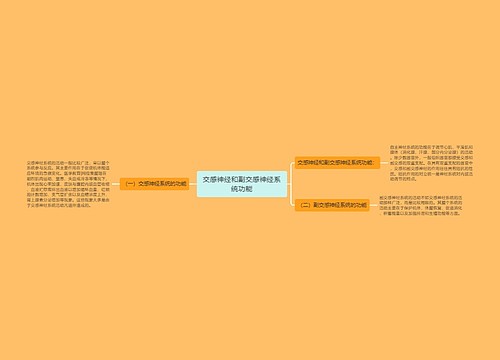 交感神经和副交感神经系统功能