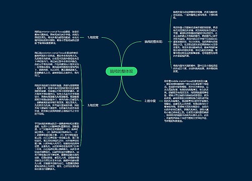 脑颅的整体观