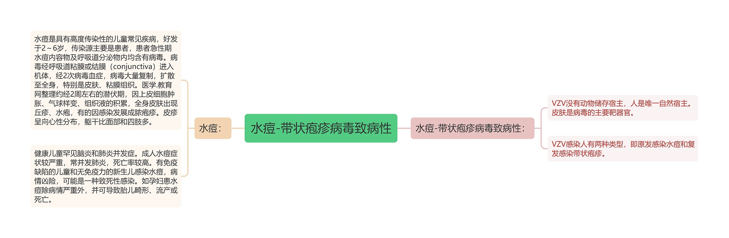 水痘-带状疱疹病毒致病性 水痘-带状疱疹病毒致病性