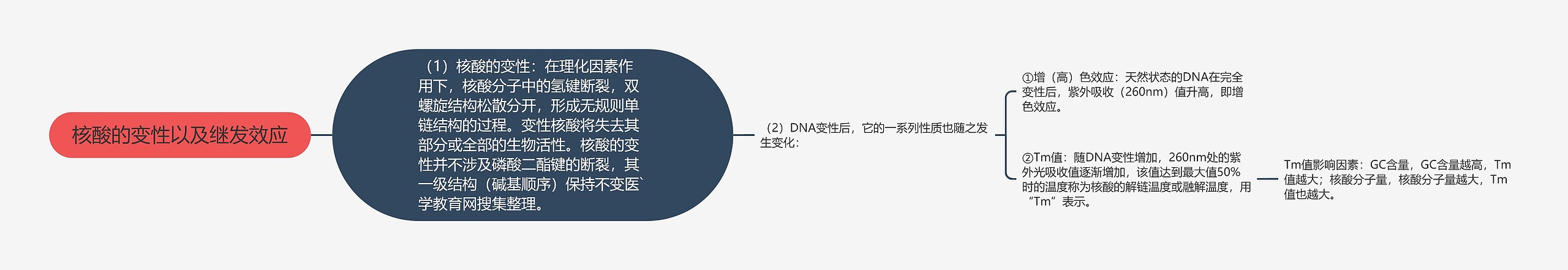 核酸的变性以及继发效应 核酸的变性以及继发效应