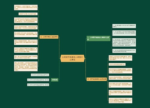 公司资不抵债法人承担什么责任