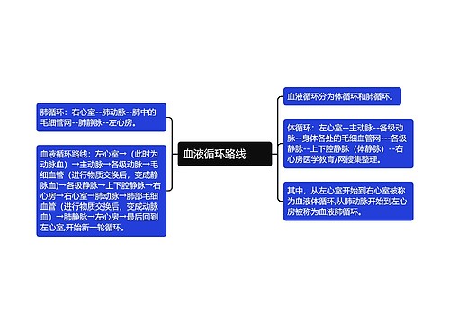 血液循环路线　　