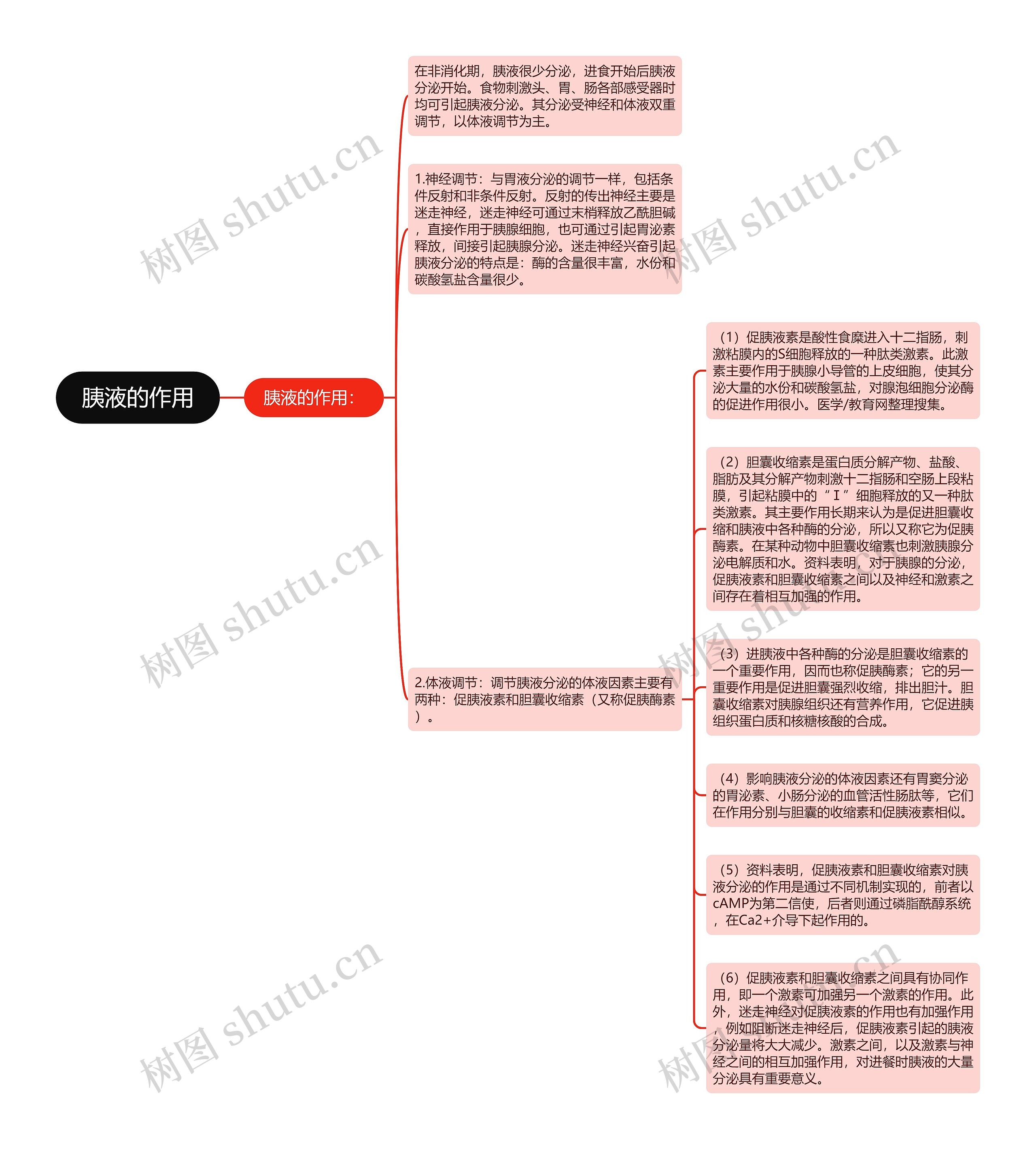 胰液的作用思维导图