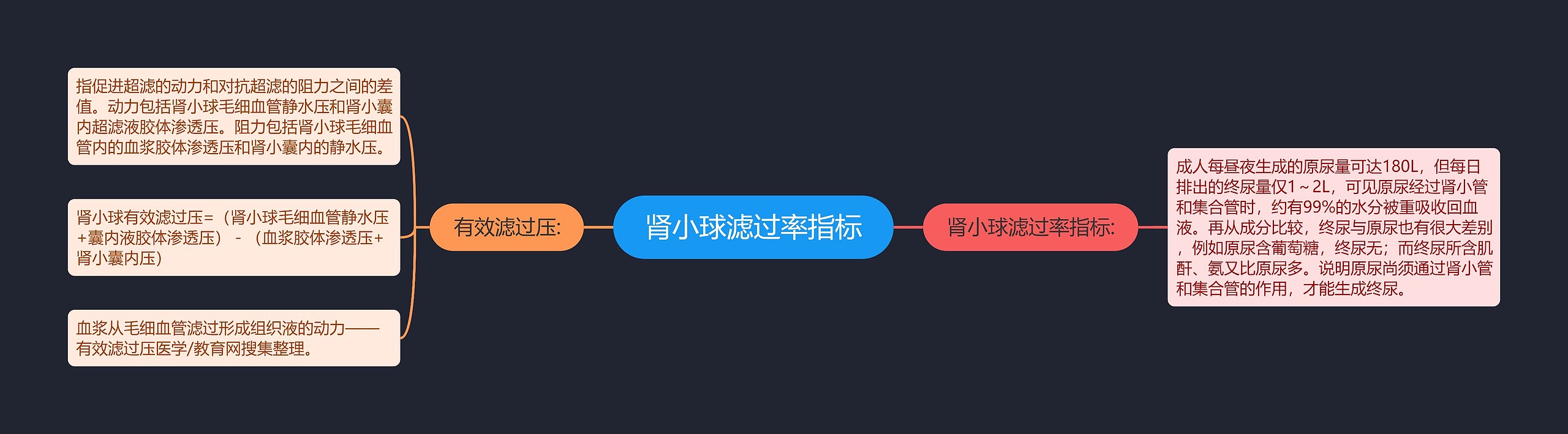 肾小球滤过率指标思维导图