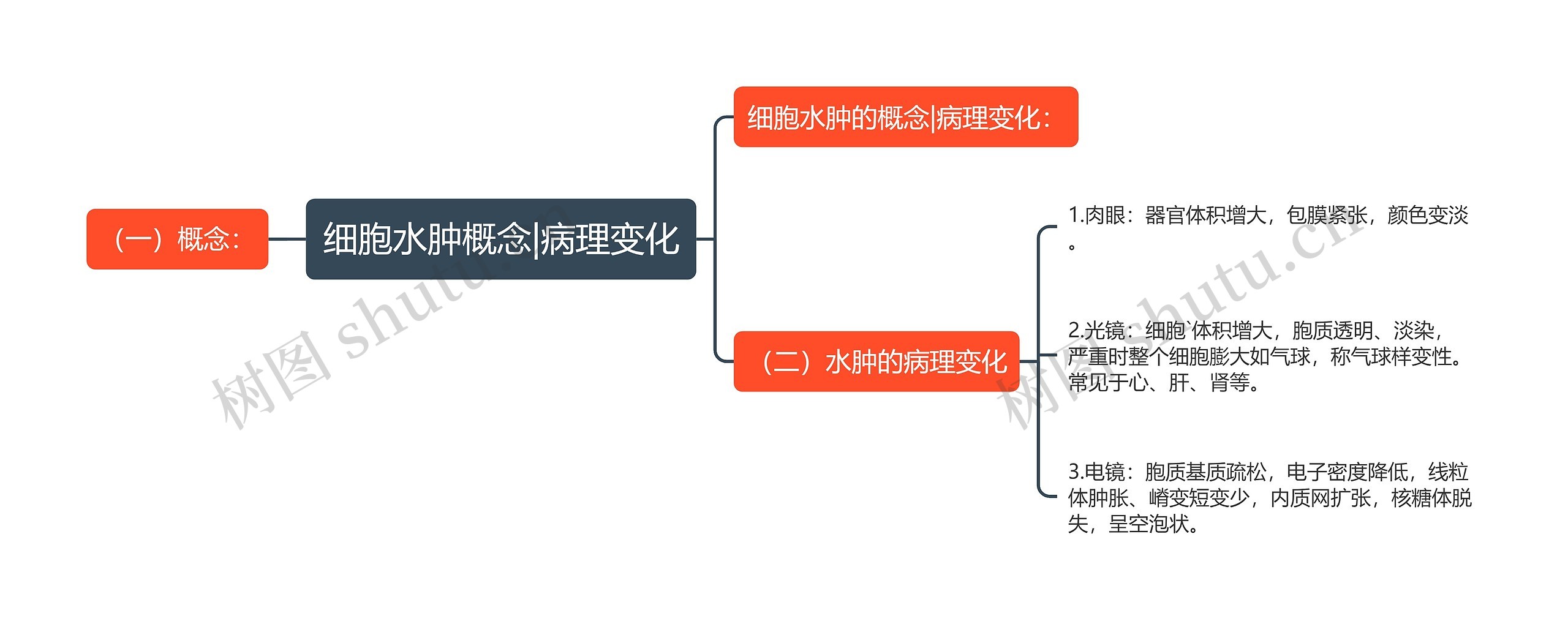 细胞水肿概念|病理变化 细胞水肿概念|病理变化