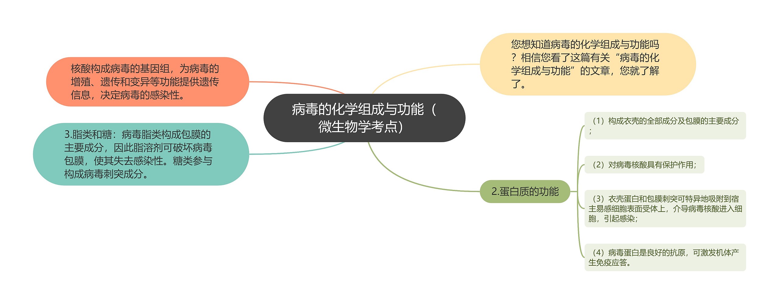 病毒的化学组成与功能（微生物学考点）